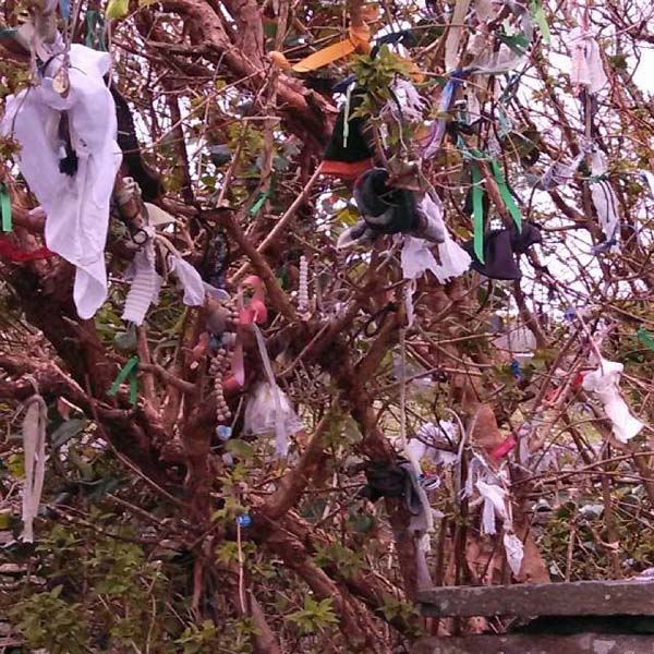 brigidswell-liscannor-ireland-201404