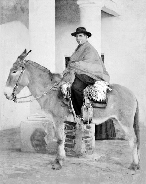 male_saints_josegabrieldelrosariobrochero_wikimedia_publicdomain_011820