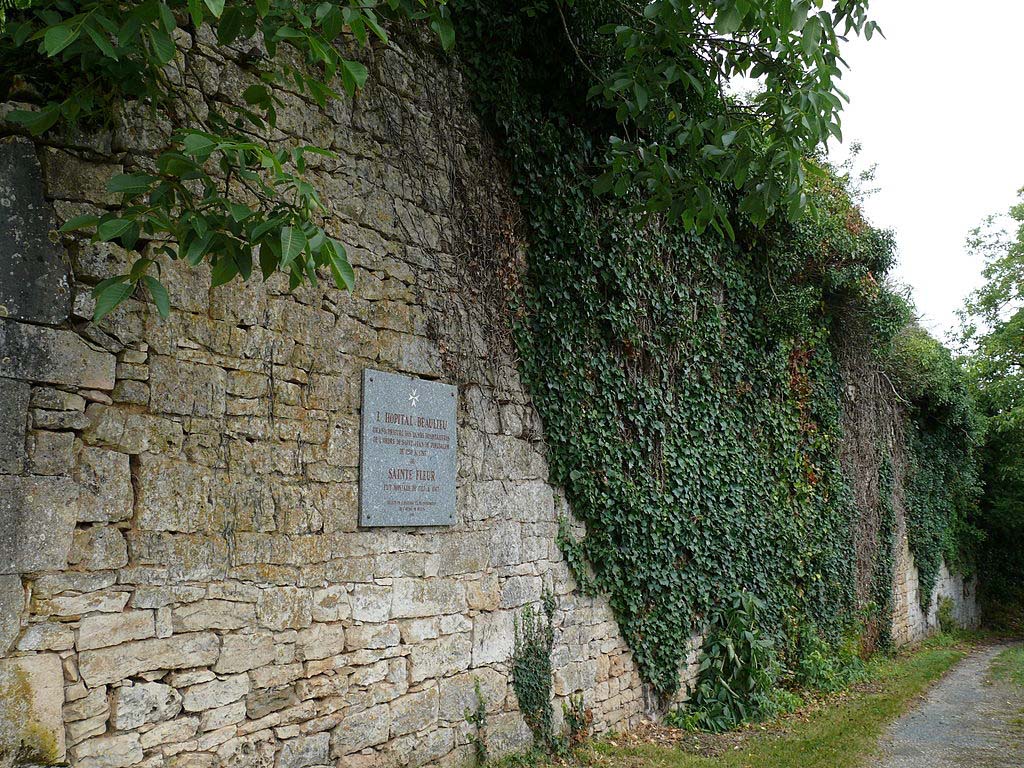 saints_floraofbeaulieu_wikimedia_attributionrequired_041919